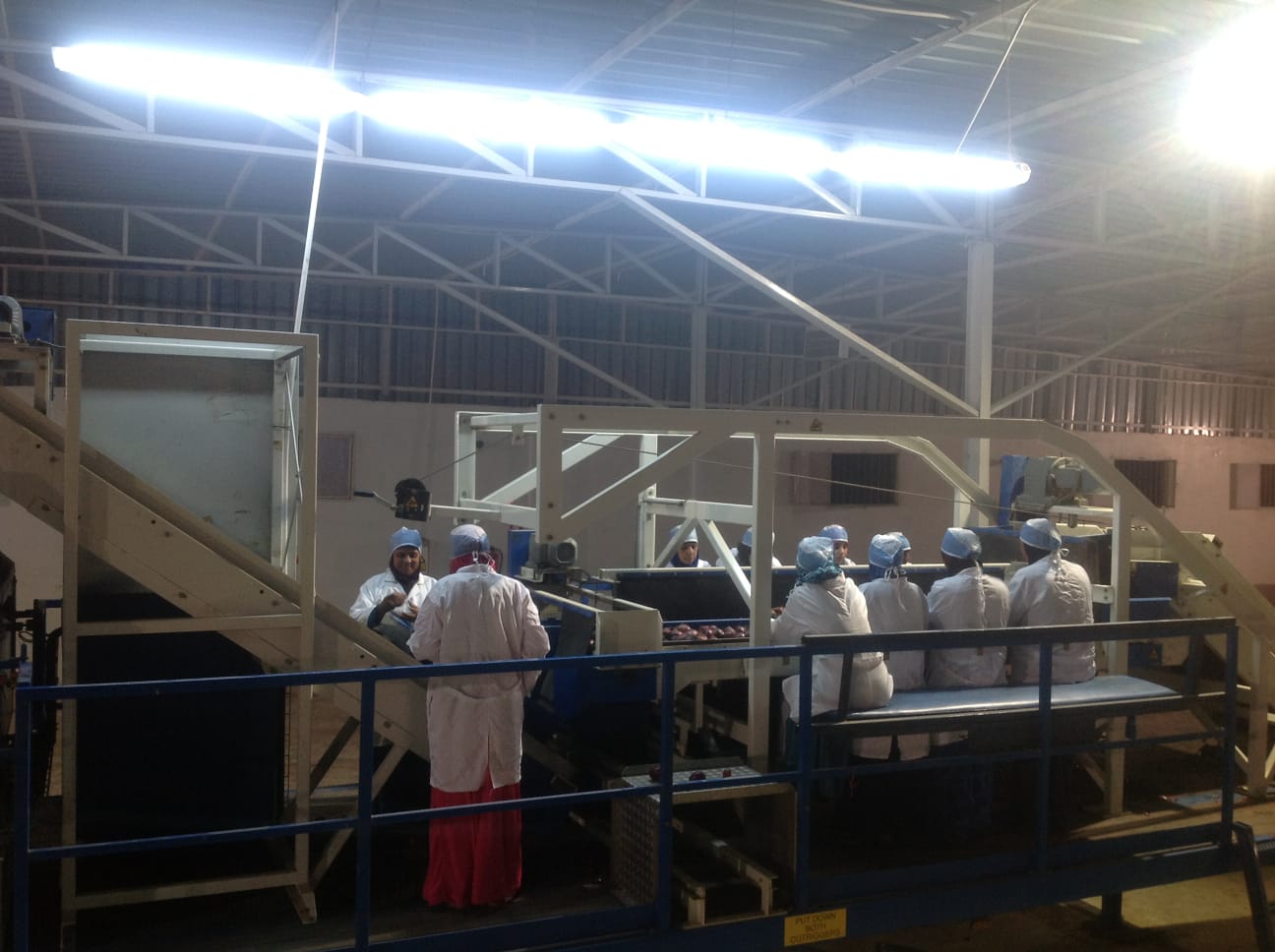 Premium Produce Backed by Full Supply Chain Control